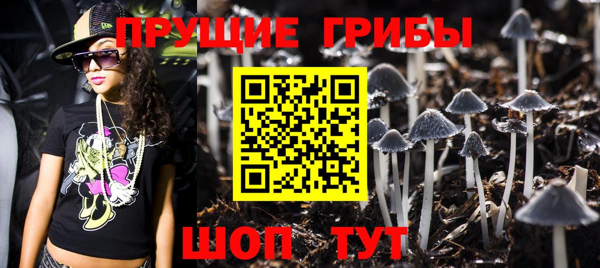 Галлюциногенные грибы прущие грибы  Вход с VPN  Советск 